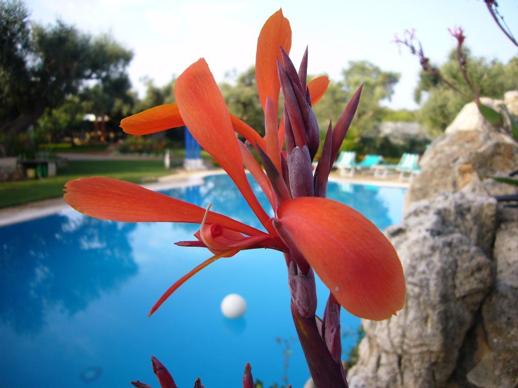 Vacanze Paradiso - Oasi Di Tranquillita Con Piscina E Giardino A 10 Min Dal Mare Aparthotel 3*