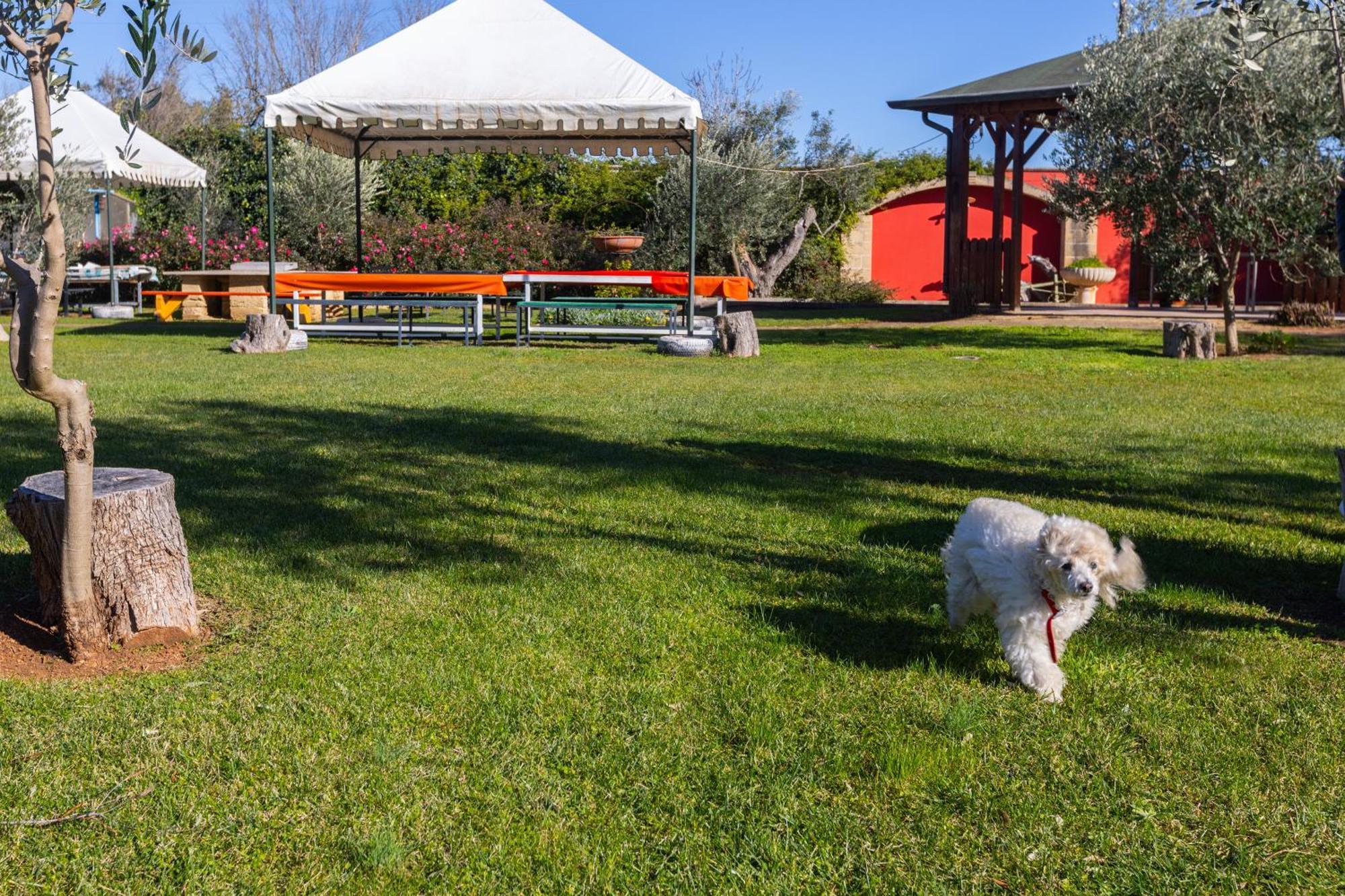 Vacanze Paradiso - Oasi Di Tranquillita Con Piscina E Giardino A 10 Min Dal Mare