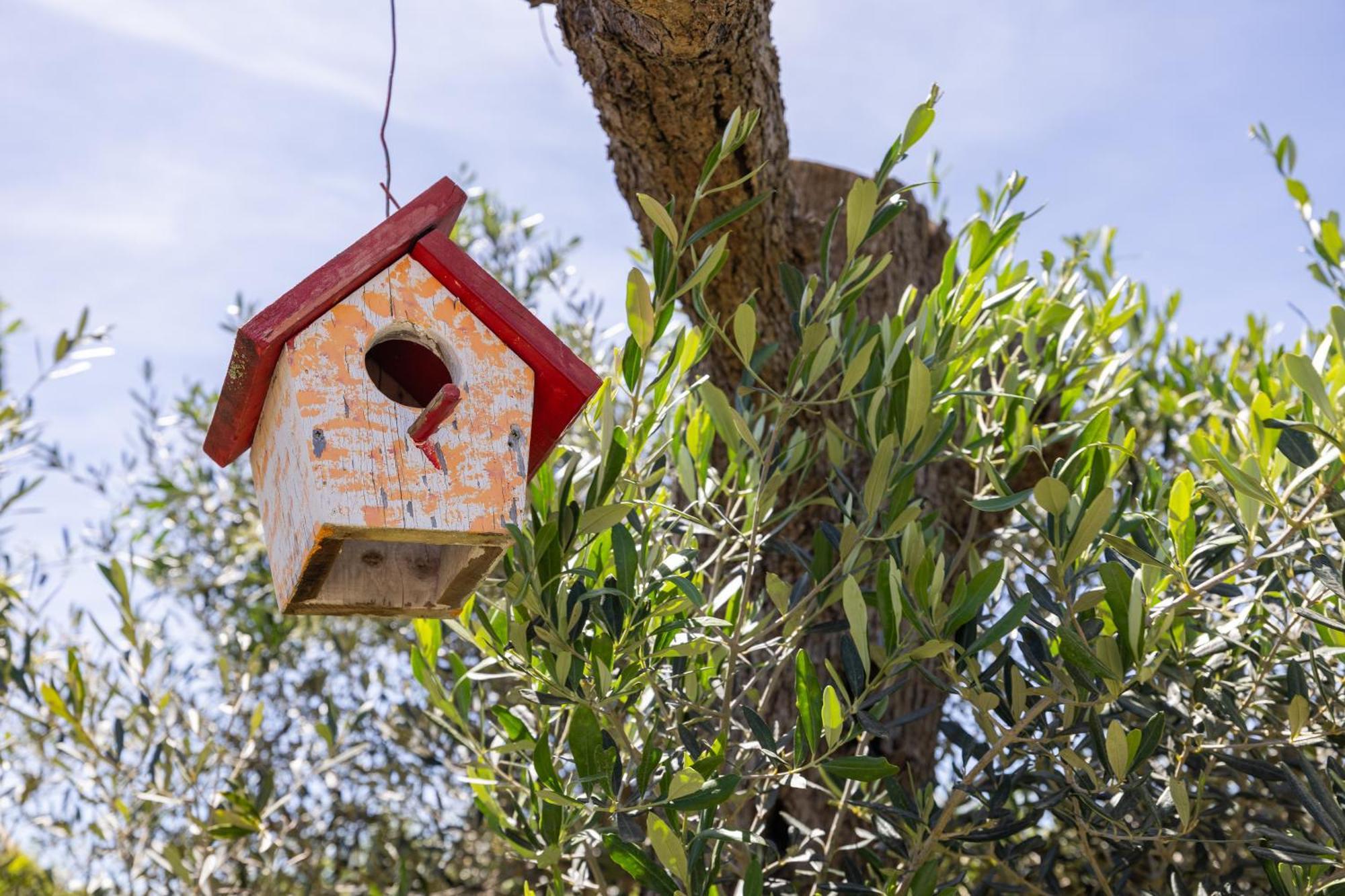 Vacanze Paradiso - Oasi Di Tranquillita Con Piscina E Giardino A 10 Min Dal Mare Aparthotel