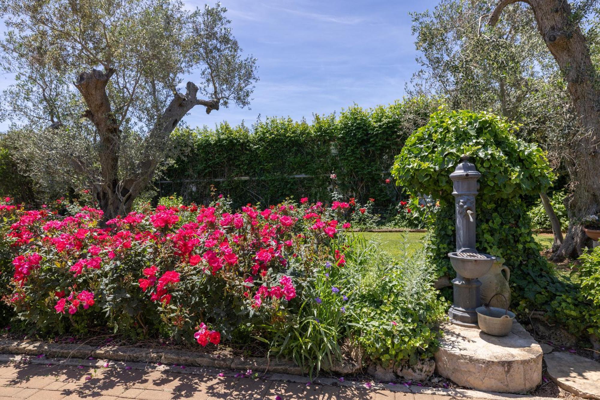 Vacanze Paradiso - Oasi Di Tranquillita Con Piscina E Giardino A 10 Min Dal Mare 3* Neviano