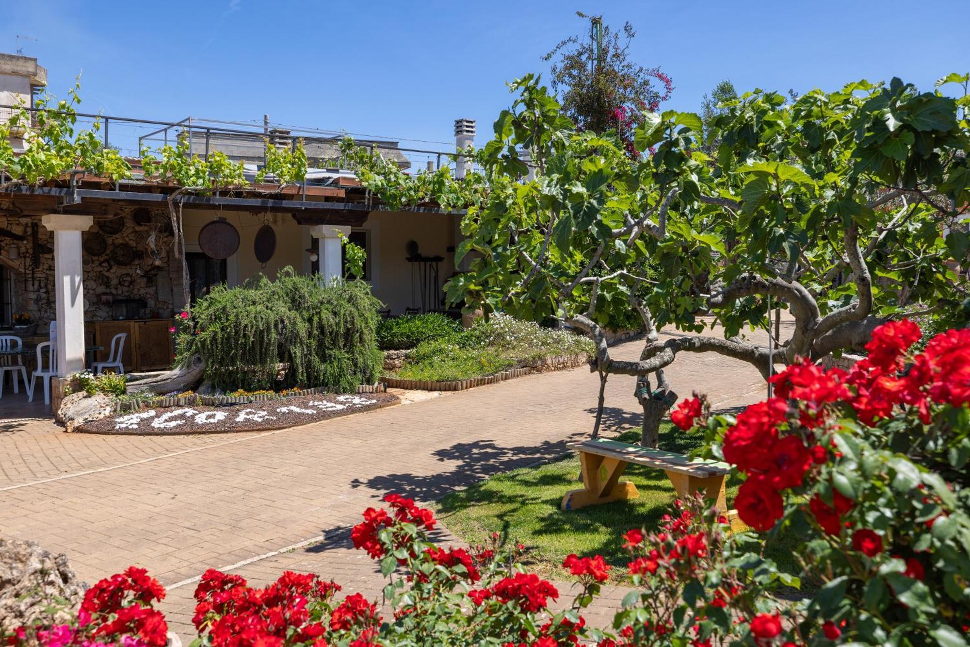 Vacanze Paradiso - Oasi Di Tranquillita Con Piscina E Giardino A 10 Min Dal Mare Aparthotel