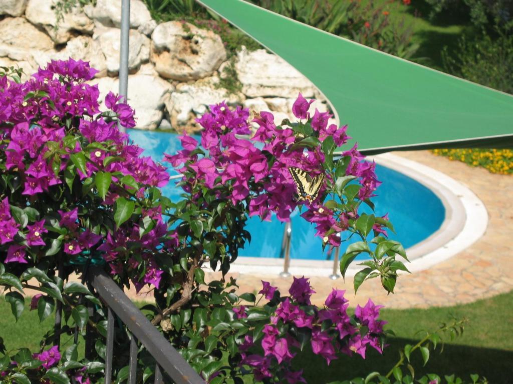 Vacanze Paradiso - Oasi Di Tranquillita Con Piscina E Giardino A 10 Min Dal Mare Aparthotel Neviano